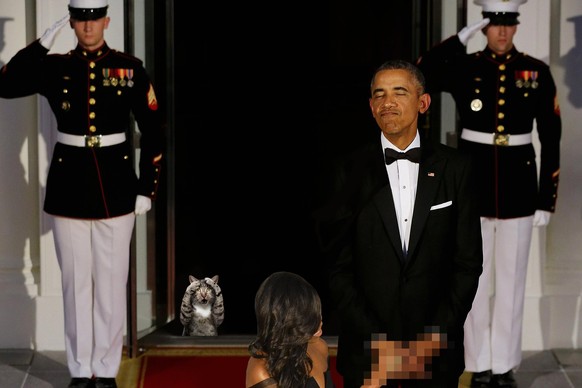 Photoshop-Battle! Was dabei herauskommt, wenn das Internet dieses Bild vom Präsidenten-Paar «besser» machen will ...
Zwar nicht Photoshop, sondern Gimp ; )