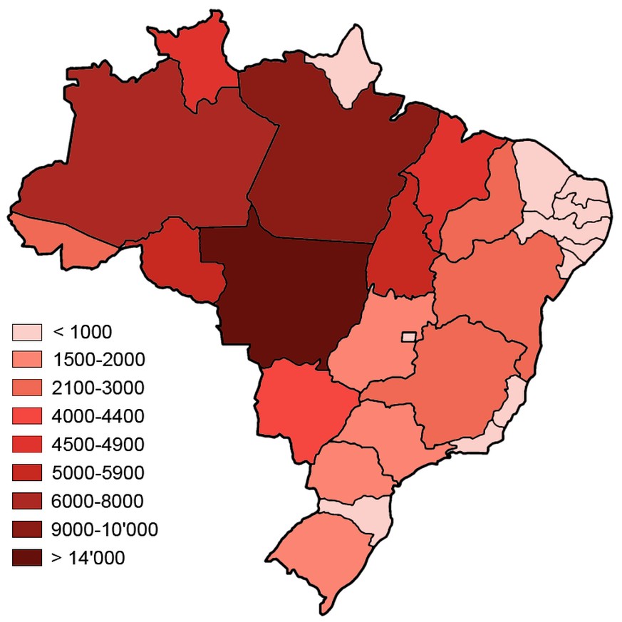 Mit Abstand am meisten Waldbrände gab es im gesamten Jahr 2019 bisher im brasilianischen Bundesstaat Mato Grosso. Stark betroffen sind auch die Bundesstaaten Pará, Amazonas, Tocantins und Rondônia. 