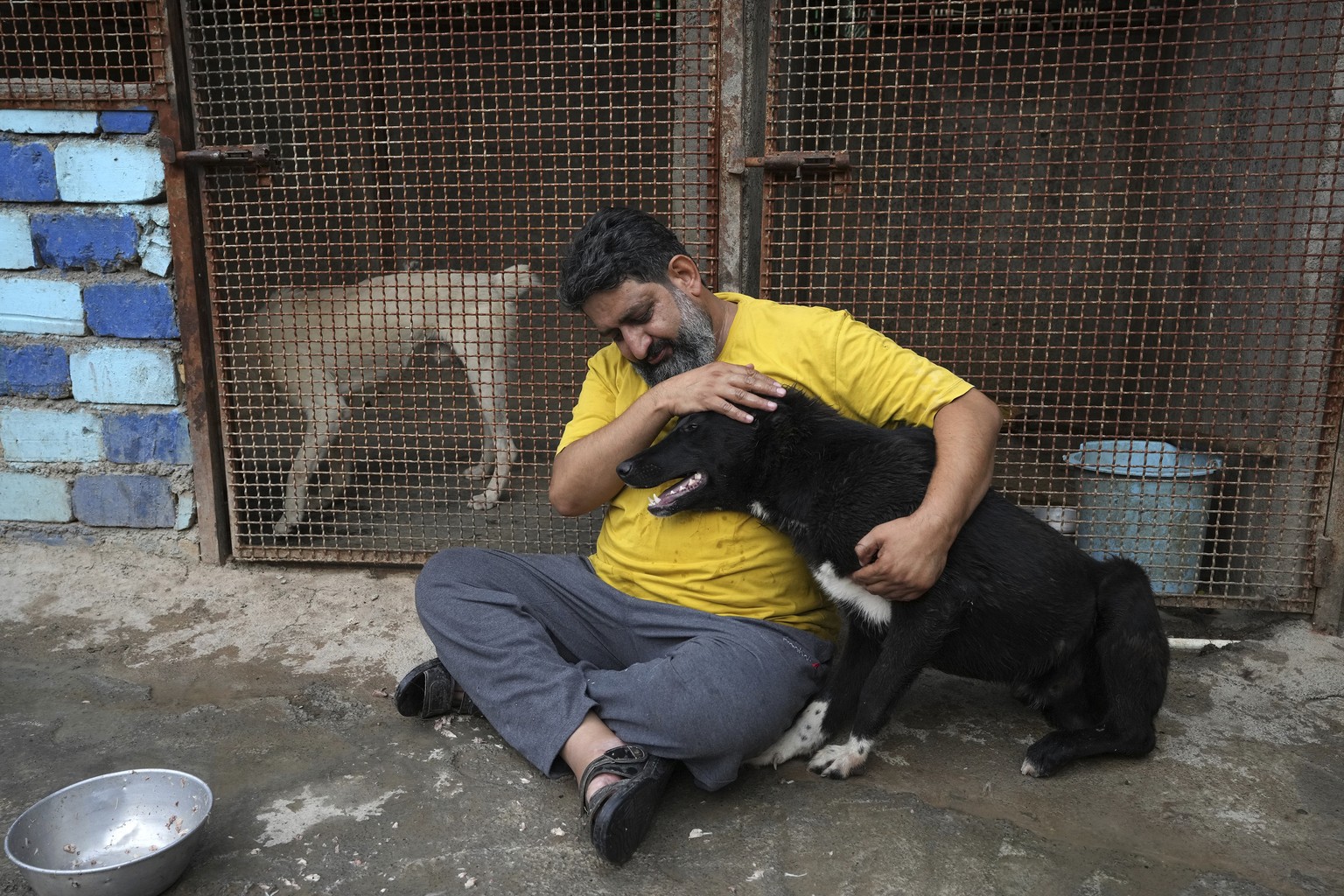 Iranian cleric Sayed Mahdi Tabatabaei caresses a weakened stray dog ​​at his shelter outside the city of Qom, 80 miles (125 kilometers) south of Iran's capital Tehran, Sunday, May 21, 2023. It'...