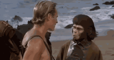 Animiertes GIF