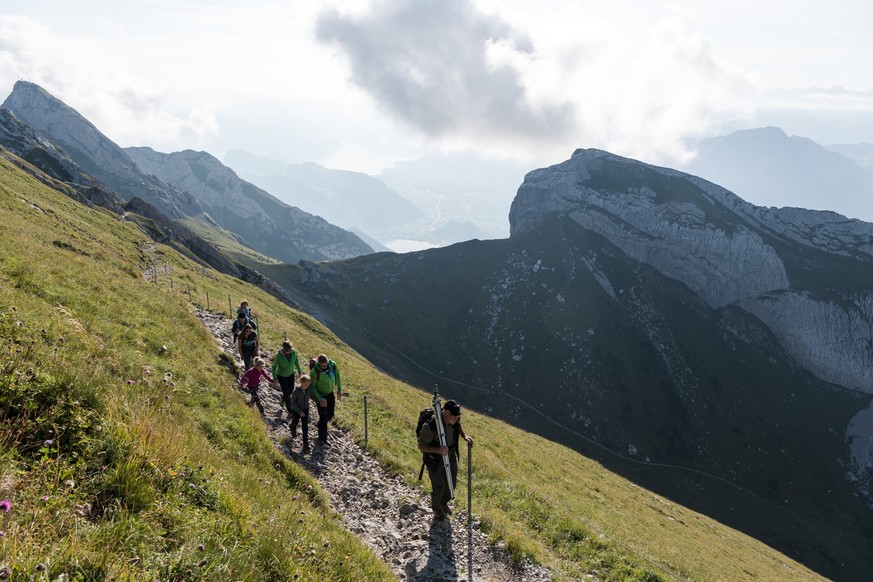 Rauszeit Tierbeobachtungen Pilatus