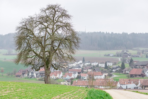 Gestörte SVP-Idylle: In Freienwil bei Baden ist am Sonntag der Gemeindeammann abgewählt worden.