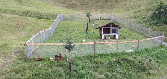 Rauszeit Ferien auf dem Bauernhof Schweiz Flühli