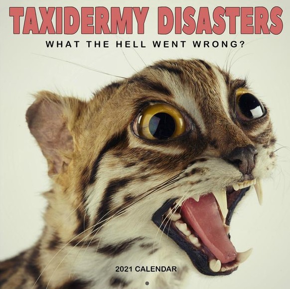 weird ass wandkalender 2021 https://www.calendars.com/shop/cats-on-catnip-wall-calendar/prod202000006083