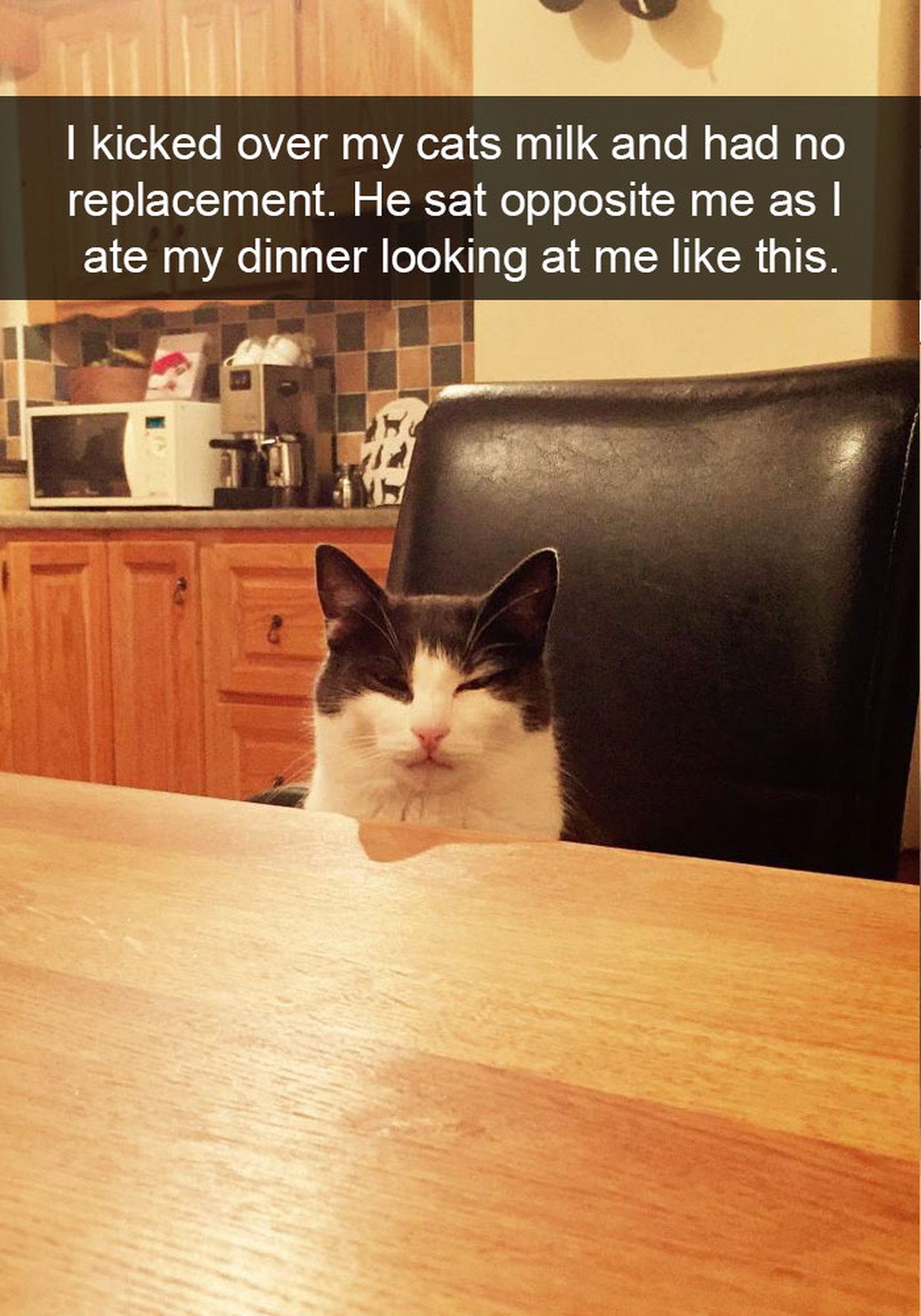 Snapchat: Böse Katze Milch
https://i.redditmedia.com/-uOrecI9Zyp3saLCh1w8RN12kiMBrp_fCx-HQqJIm5s.jpg?w=431&amp;s=2a118d9e6fa1224a49a724a98b2fcc24