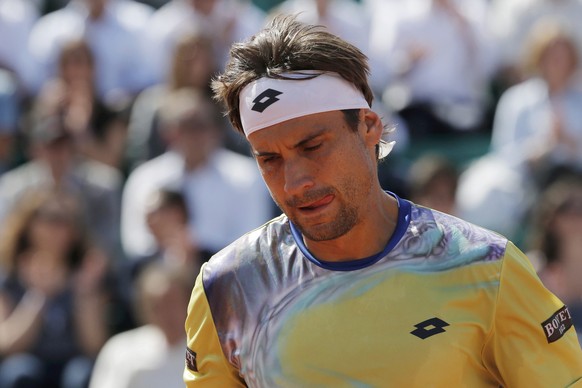 David Ferrer of Spain reacts during his men&#039;s quarter-final match against Andy Murray of Britain during the French Open tennis tournament at the Roland Garros stadium in Paris, France, June 3, 20 ...