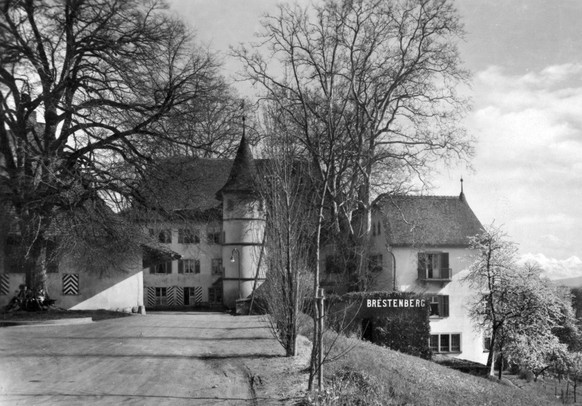 Unter seinem Schloss Brestenberg am Hallwilersee liess Stefanini einen vierstöckigen Bunker errichten, in dem er einen grossen Teil seiner Sammlung verstaute.