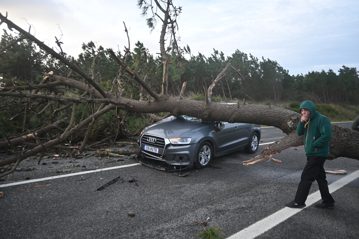 epa12686843 A large tree falls on a vehicle due to the passage of storm Kristin on the Atlantic Road, between Salir do Porto and Foz do Arelho, in Caldas da Rainha, Portugal, 28 January 2026. The Port ...