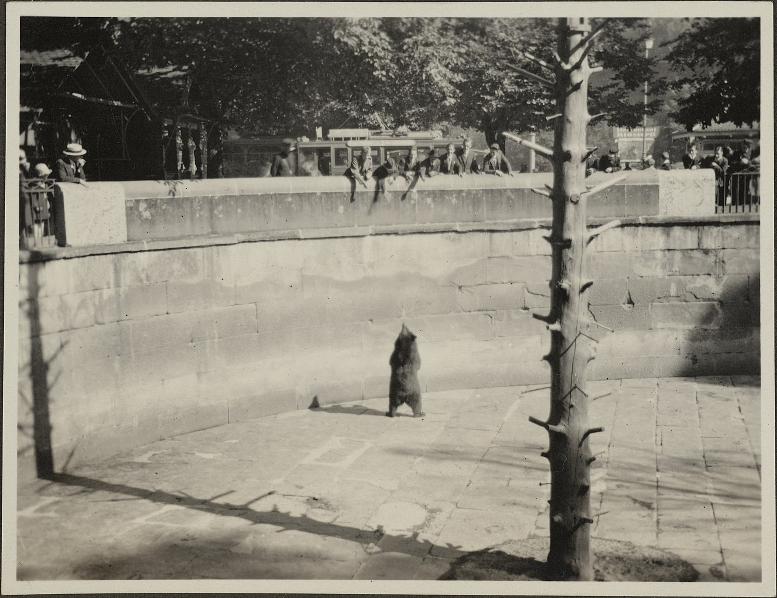 Bärengraben Bern ca. 1928