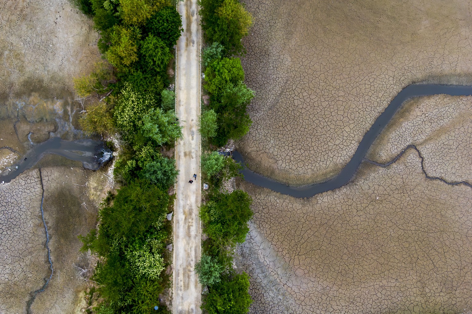 epa12112977 Dried out lakes in Oud-Heverlee, Flemish Brabant, where drained ponds at Zoete Waters undergo renovation, Belgium, 18 May 2025. Belgium is currently grappling with one of its most severe d ...