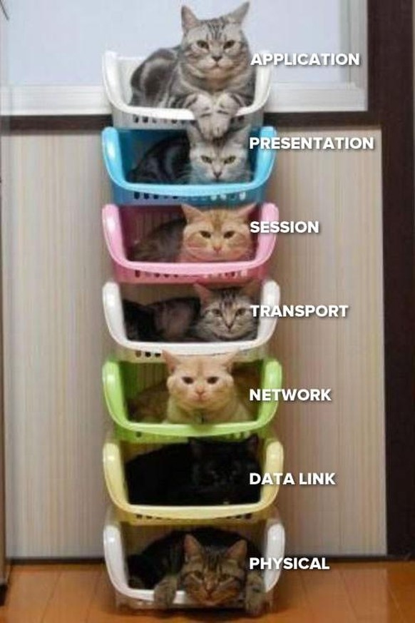 Die sieben Network Layer erklärt.