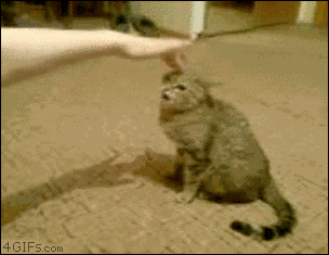 Animiertes GIF