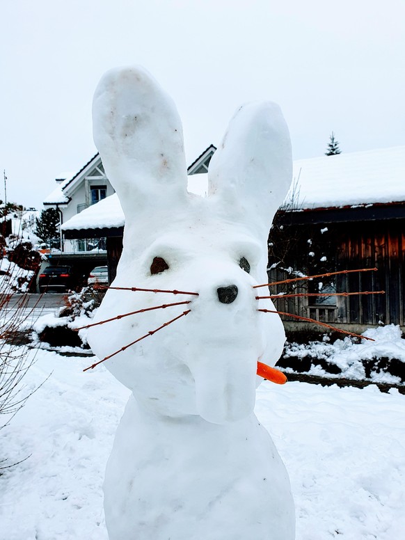 0815-Schneefiguren kann jeder â staune Ã¼ber diese 28 Meisterwerke!\nSchneehase ð