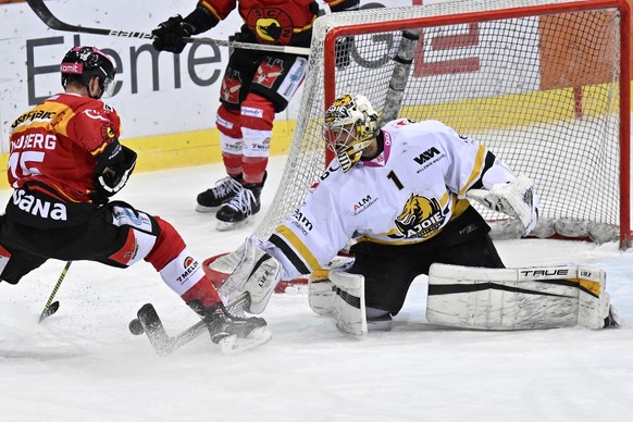 Berns Oscar Lindberg, links, im Duell mit Ajoies Torhueter Tim Wolf im Eishockey Qualifikationsspiel der National League zwischen dem SC Bern und dem HC Ajoje, am Samstag, 25. Februar 2023, in der Pos ...