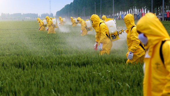 Monokulturen und Pestizide: die veränderte Landnutzung gehört mit Fischerei, Klimawandel und Verschmutzung zu den Hauptursachen für den Niedergang der Artenvielfalt.