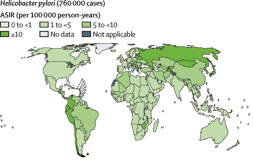 Helicobacter pylori
https://www.thelancet.com/journals/lanonc/article/PIIS1470-2045%2826%2900307-4/fulltext