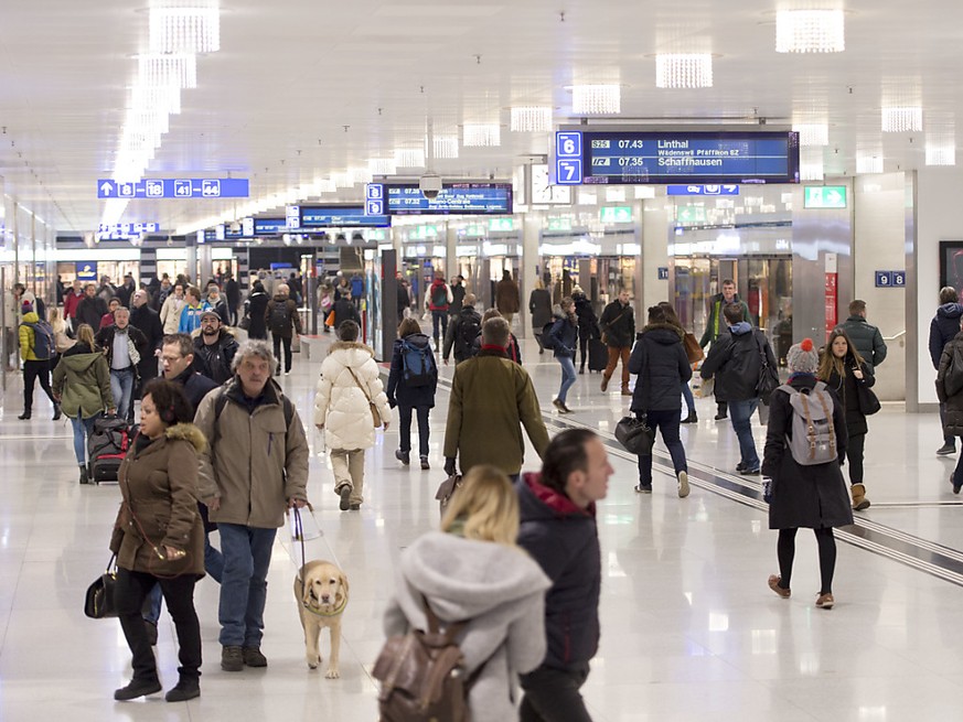 Passagiere und Pendler im Hauptbahnhof Zürich: rund 40 Prozent der Schweizer Bevölkerung besitzt ein GA oder Halbtax. (Archivbild)