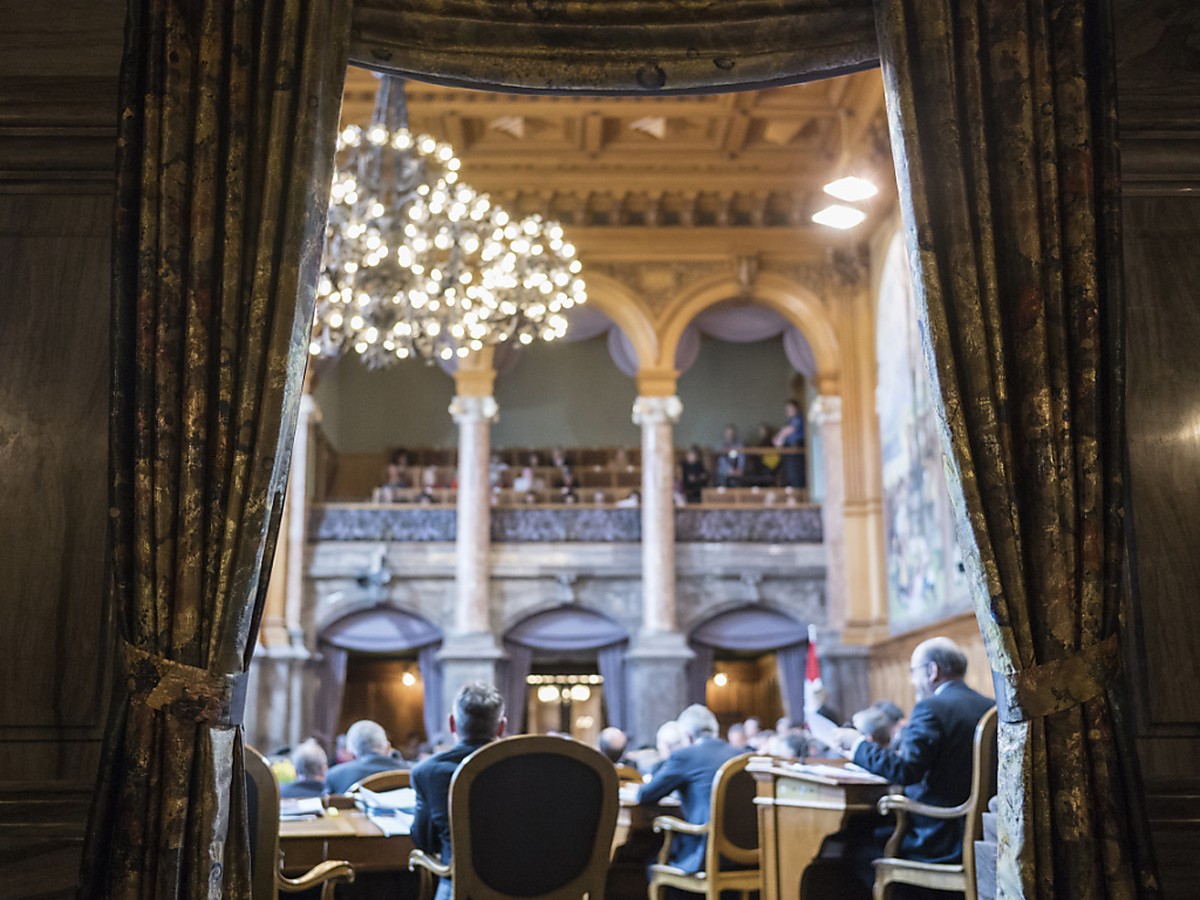 Die Luzerner Grünen wollen den Schritt in den Ständerat schaffen. (Archivbild)