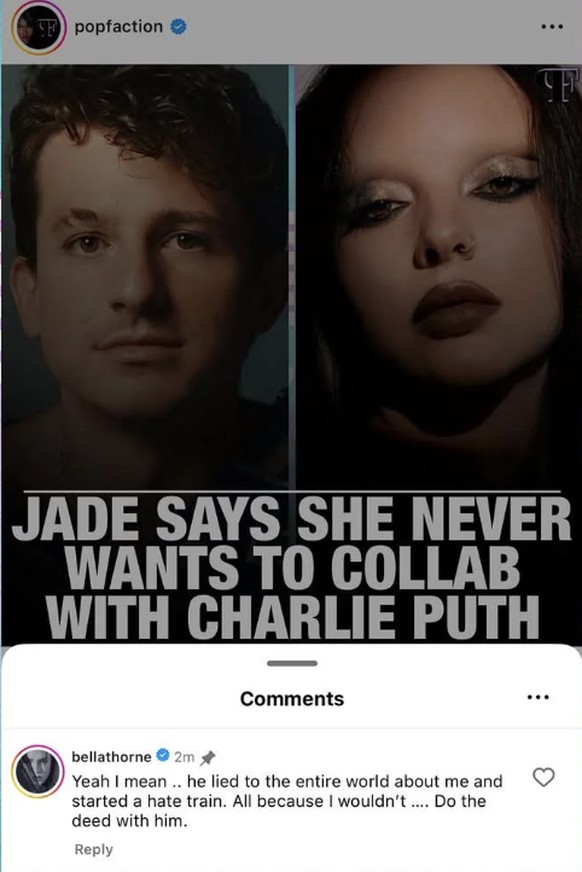 Bella Thorne Kommentar über Charlie Puth.