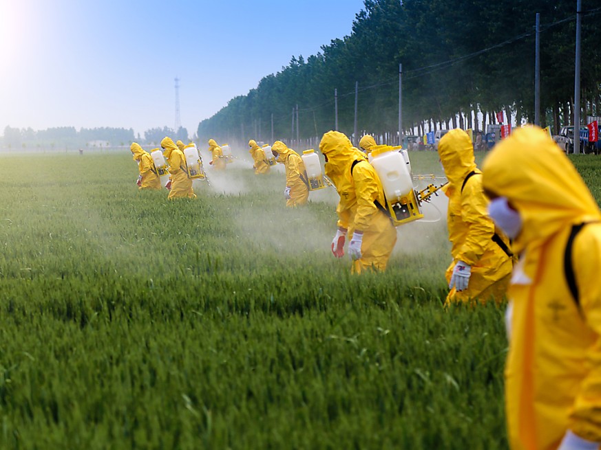 Monokulturen und Pestizide: die veränderte Landnutzung gehört mit Fischerei, Klimawandel und Verschmutzung zu den Hauptursachen für den Niedergang der Artenvielfalt.