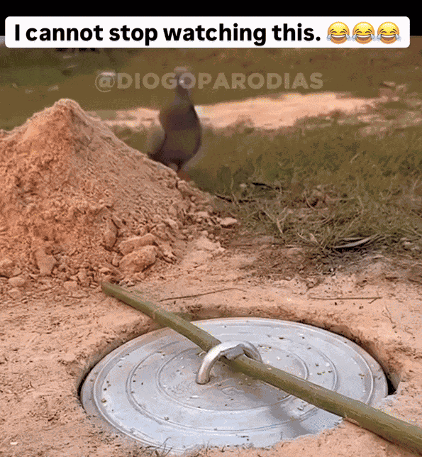 Animiertes GIF