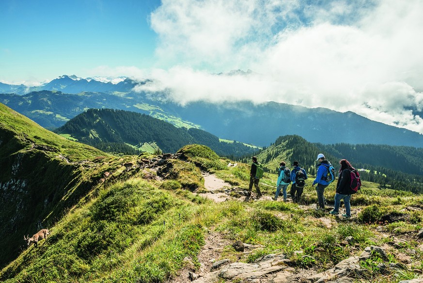 Schweiz. ganz natuerlich. Shooting: Keystory Wildtierbeobachtung auf dem Niederhorn bei Beatenberg.