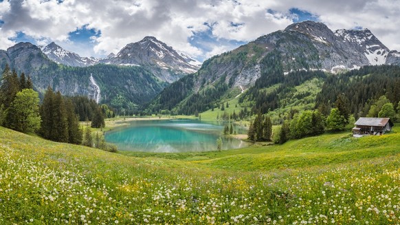 Biodiversität