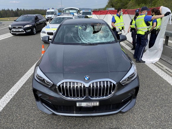 Mägenwil/A1: Nach Kollision mit Reh verstorben

Eine Automobilistin stiess gestern Nachmittag auf der A1 mit einem Reh zusammen, das sich auf die Autobahn verirrt hatte. Dabei zog sie sich schwere Ver ...