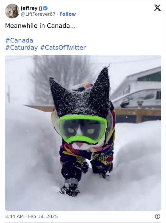 Coole Bilder aus Kanada