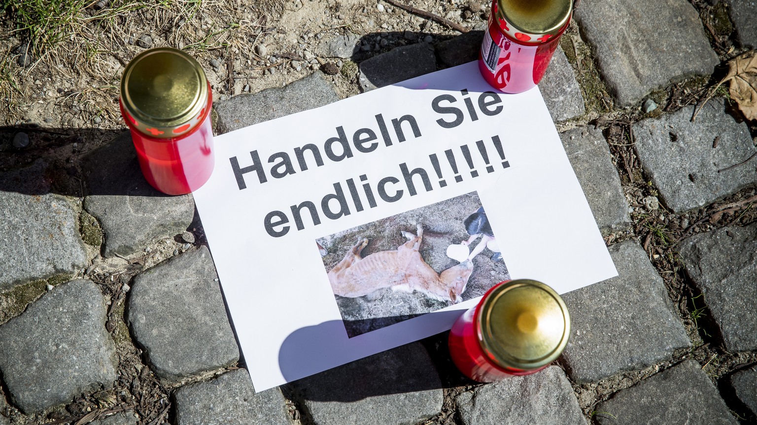Aktivisten des Vereins gegen Tierfabriken (VgT) demonstrieren gegen die fehlenden Massnahmen gegen den mutmasslichen Tierquaeler Ulrich K. vor dem Verwaltungsgebaeude des Kantons Thurgau am Montag, 7. ...