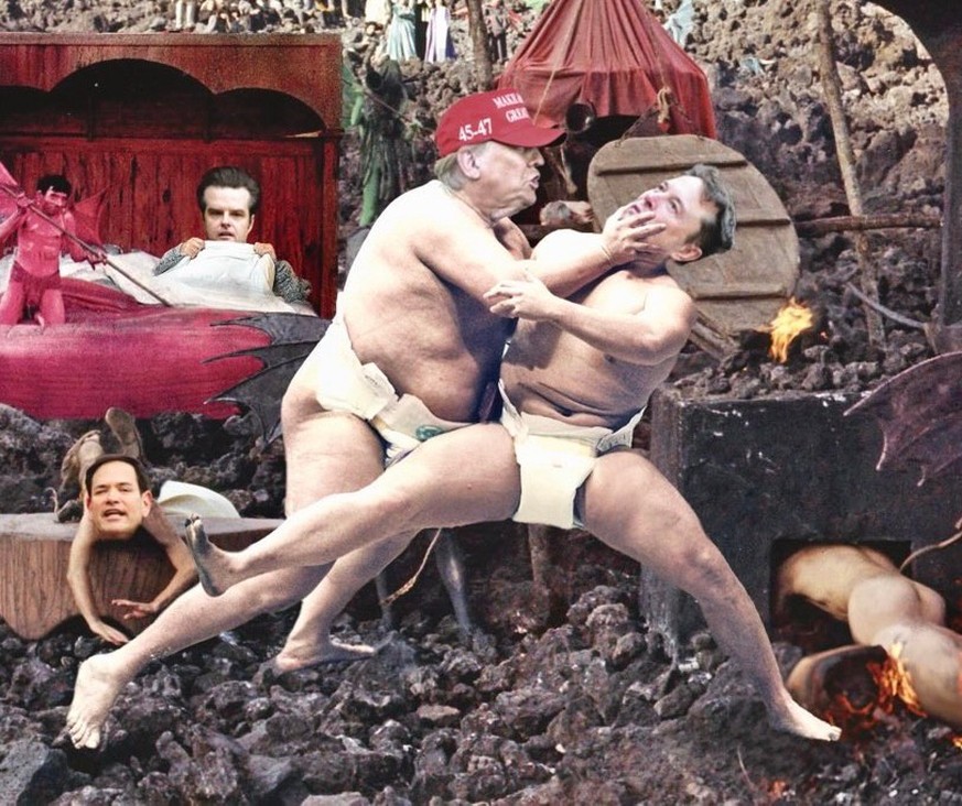 Trump Musk Meme