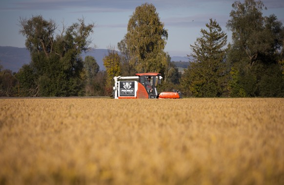 Reisernte mit einem Drescher auf einem Reisfeld des Produzenten Leandre Guillod, am Dienstag, 19. Oktober 2021, in Vully am Murtensee. (KEYSTONE/Peter Klaunzer)