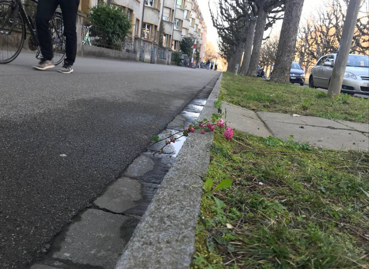 Blumen am Tatort: Der Knabe wurde auf dem Trottoir angegriffen.