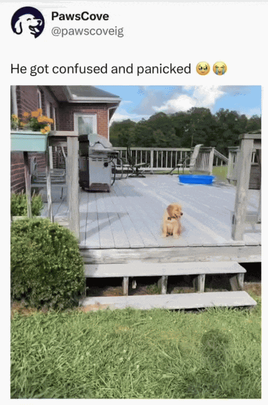 Animiertes GIF