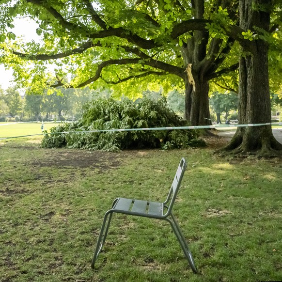 Ein Bereich unter grossen Baeumen mit abgebrochenen und vorsorglich abgeholzten Aesten ist gesperrt im Schuetzenmattpark in Basel, am Donnerstag, 30. Juli 2026. (KEYSTONE/Georgios Kefalas)