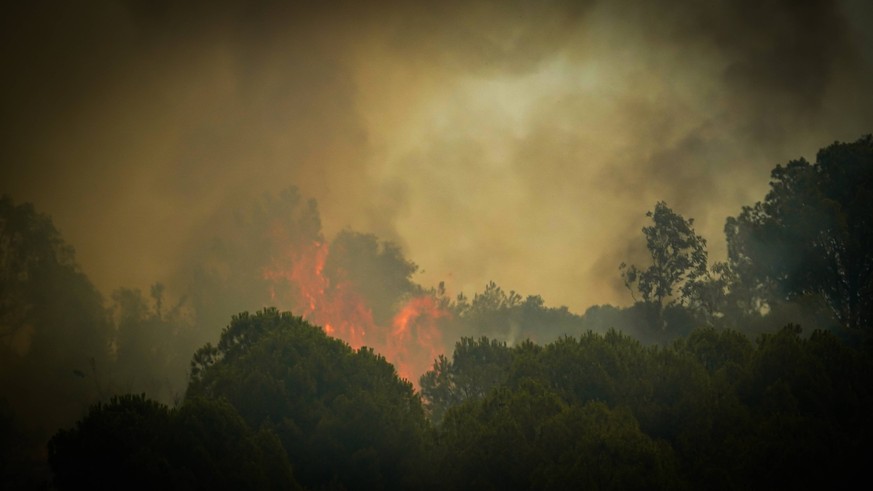 Wildfire has reached into the residential area Efforts to extinguish a wildfire that was started in a forest in the Yamanlar area of the Karsiyaka district of Izmir yesterday evening continue by land  ...