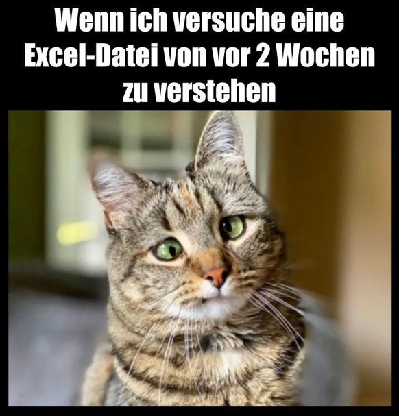 PICDUMP 388 – jetzt wieder wie früher und in Farbe!\nÖhm... 🥴😵