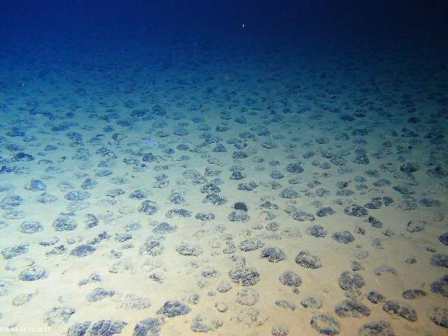 Manganknollen auf dem Meeresboden in der Clarion-Clipperton-Zone westlich von Mexiko.