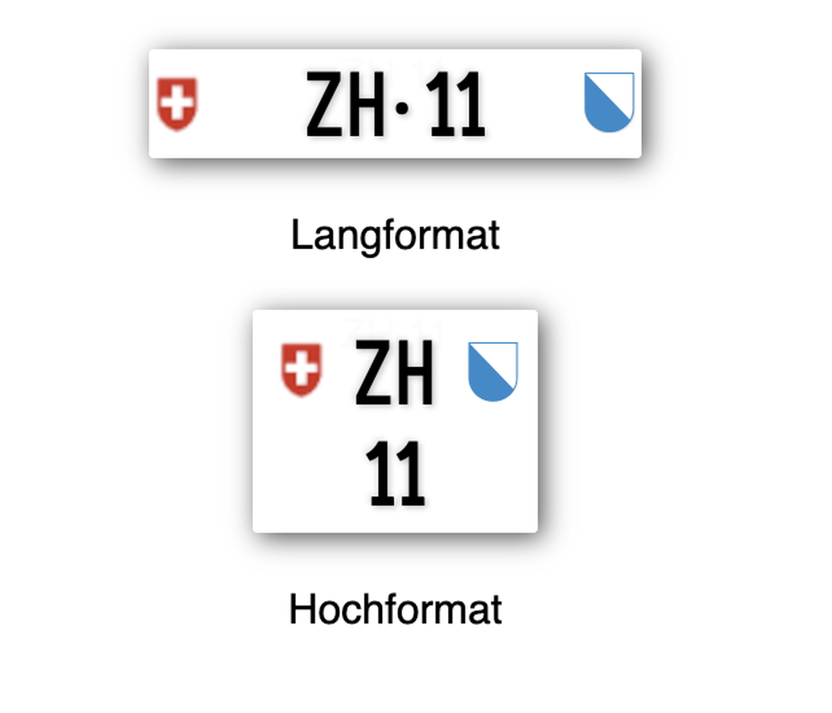 ZH 11