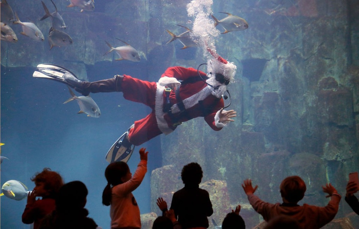 PARIS, FRANCE - DECEMBER 22: Children watch a diver dressed in a Santa Claus costume as he swims with fishes in the Aquarium of Paris on December 22, 2017 in Paris, France. To celebrate the end of yea ...
