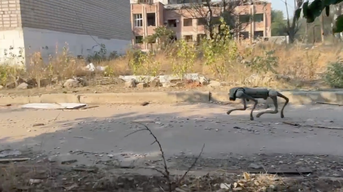 Parallèlement à ses drones, l'armée ukrainienne mise dorénavant sur des chiens robots.