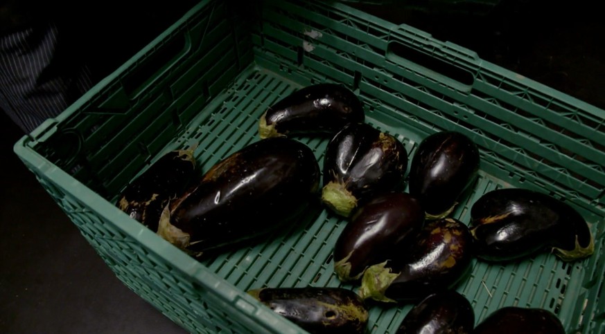 Diese Auberginen sind zu unförmig oder zu rund für den Grosshandel.