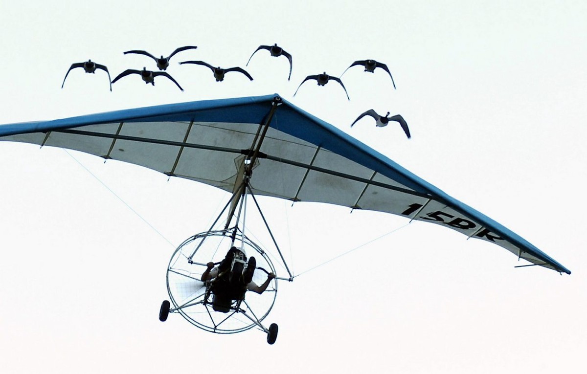 Ein&nbsp;Deltasegler mit Elektroantrieb.