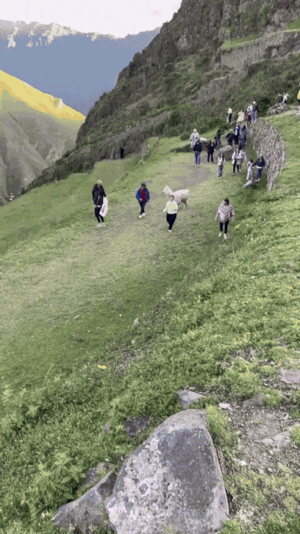 Animiertes GIF