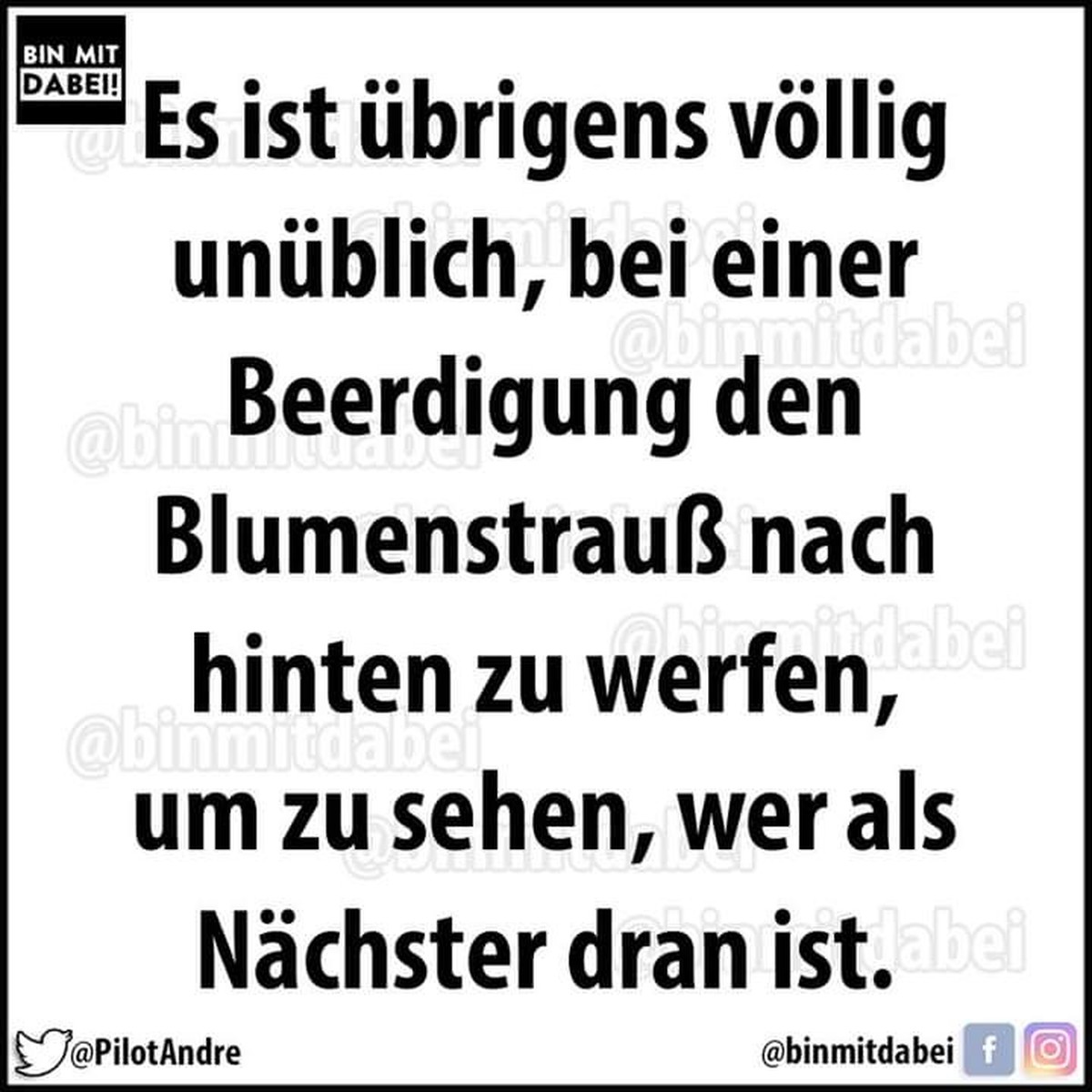 Picdump 61 – Halloween war gestern, heute geht es um Memes!\nKnigge!!