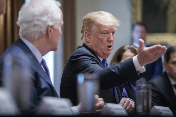 epa06571475 US President Donald J. Trump (C) delivers remarks during a meeting with bipartisan Members of Congress to discuss school and community safety in the Cabinet Room of the White House in Wash ...