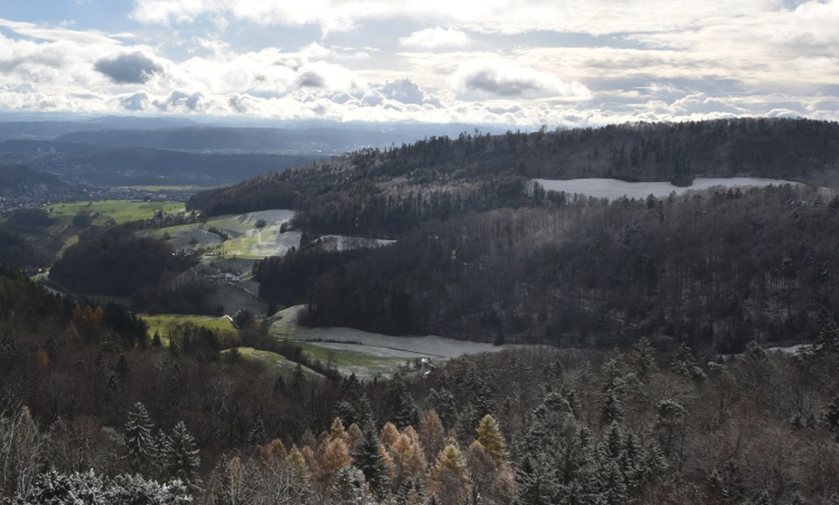 Barmelweid Schnee 20.11.2025