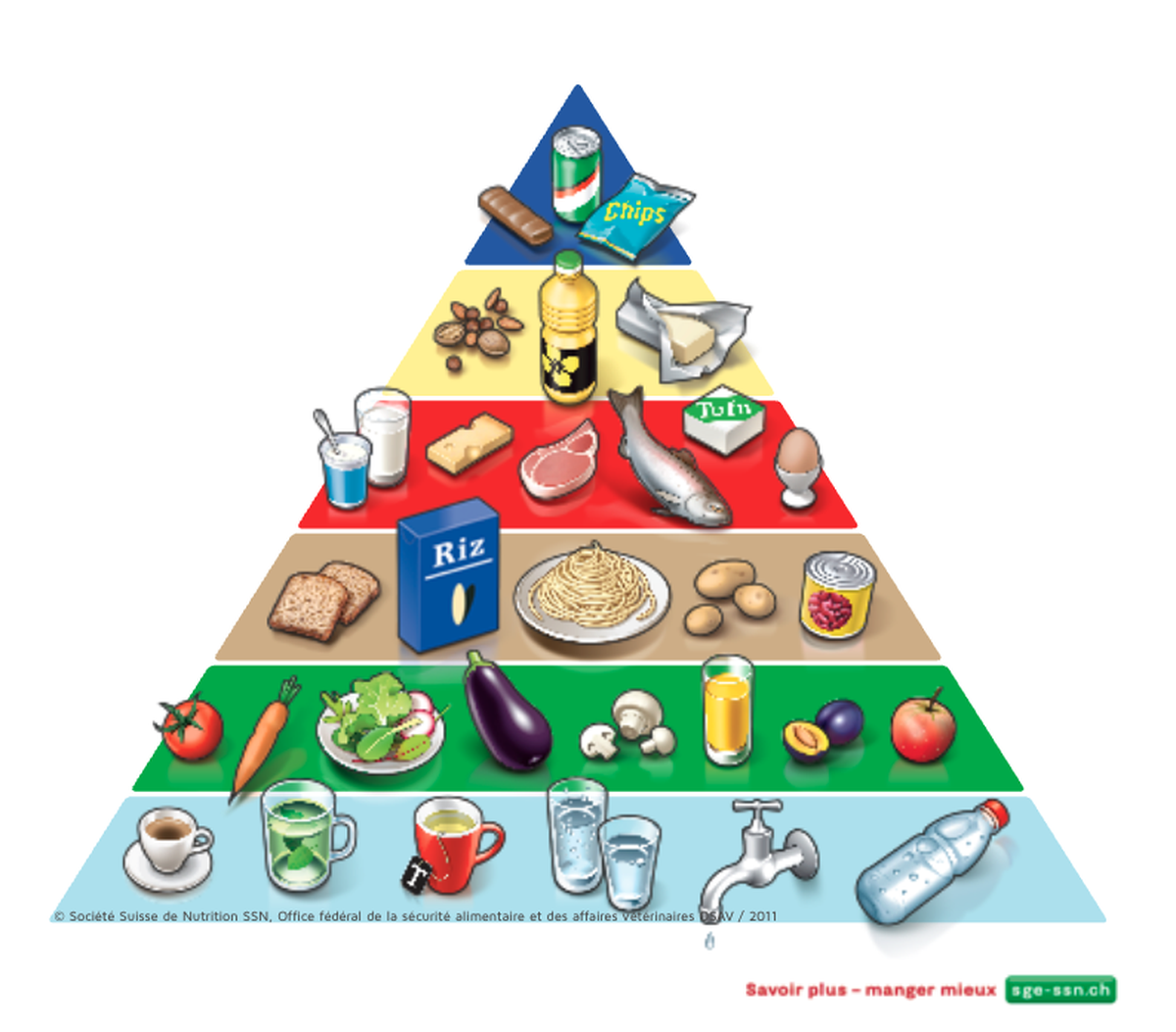 La pyramide alimentaire.