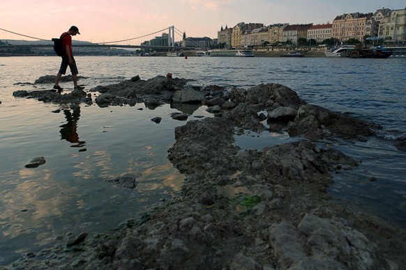A man walks on rocks peeking out of the Danube in downtown Budapest, Hungary, Wednesday Aug. 5, 2026, as the river, which runs through 10 European countries, has receded never-before-seen low water le ...