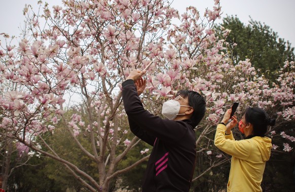 epa09116397 People take photos of blooming trees as they visit the Olympic Forest Park during Qingming Festival holidays in Beijing, China, 05 April 2021. The festival, bringing a three-day holiday, i ...